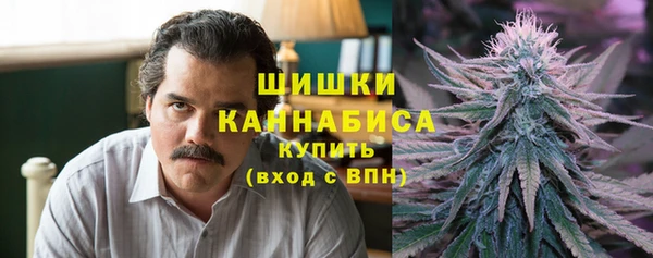 первитин Ладушкин