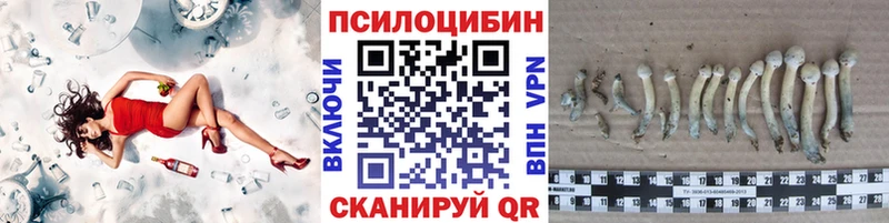 купить наркотик  Минеральные Воды  Псилоцибиновые грибы мухоморы 