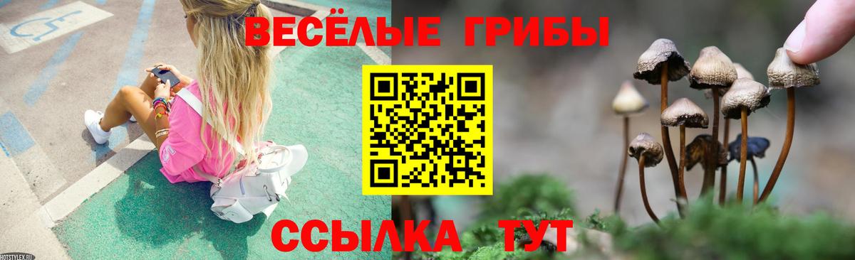 Галлюциногенные грибы ЛСД Минеральные Воды